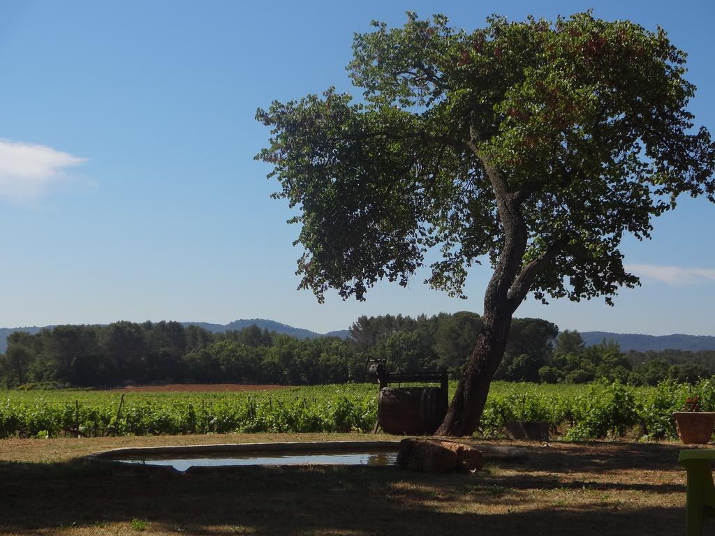 Chateau Nestuby Cotignac Exterior photo