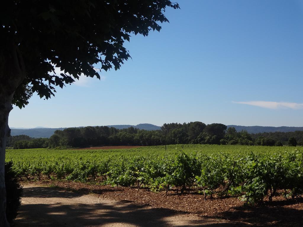 Chateau Nestuby Cotignac Exterior photo